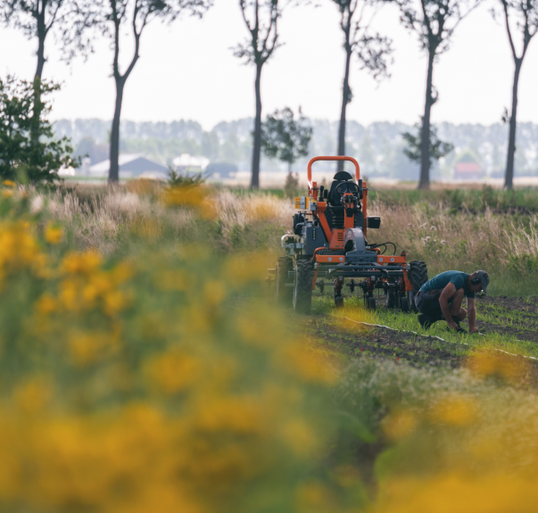 Branding Biosfeer Farm | Nilsson Agency